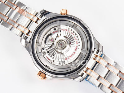 2018 Seamaster Diver 300M SS/RG