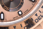 Daytona 116505 Chocolate Dial in Everose Gold