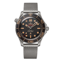 Diver