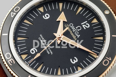 Replica Omega Seamaster 300 Sedna Gold in Steel