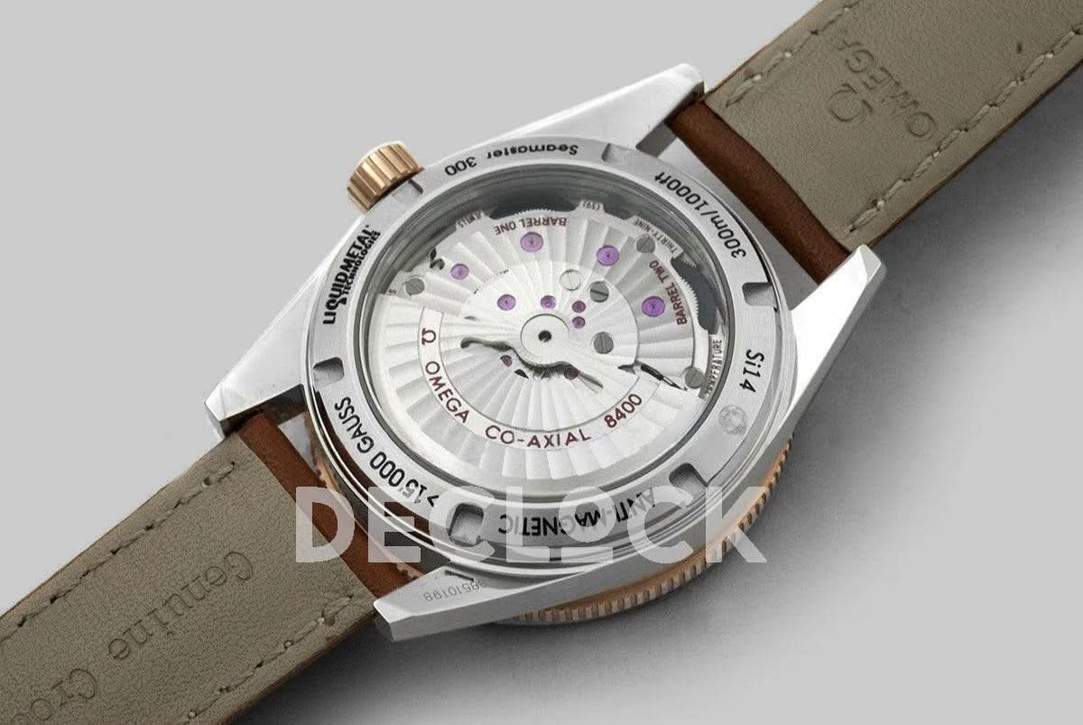 Replica Omega Seamaster 300 Sedna Gold in Steel