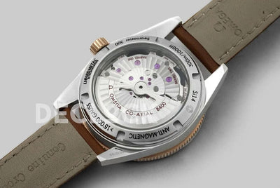 Replica Omega Seamaster 300 Sedna Gold in Steel